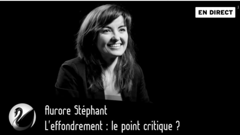 L'effondrement : le point critique ? | Thinkerview · 25 janvier 2022